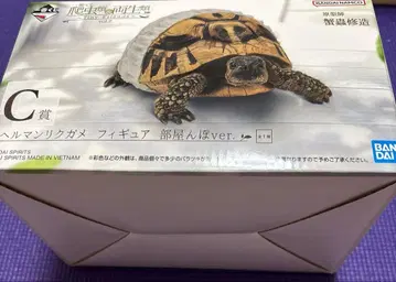 제일복권 파충류 & 양서류 vol.2 C상 헤르만육지거북 [미개봉]