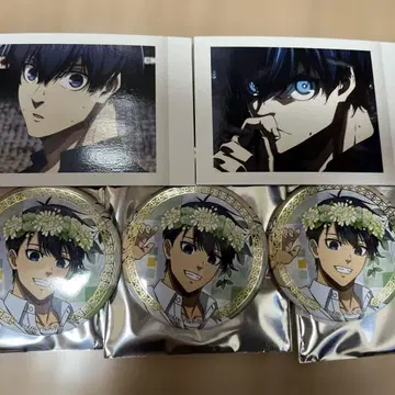 이세이 칸 배지