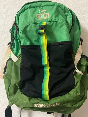 새상품급 CHUMS SPRING DALE 25 백팩 그린