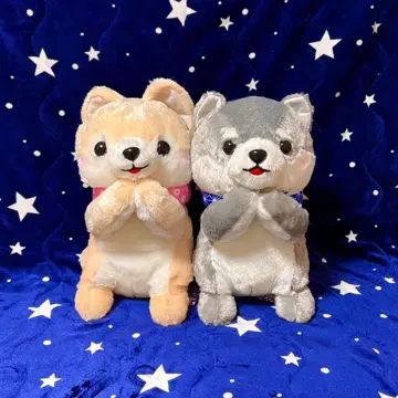 콩 시바 삼형제 모두 함께 조르기 봉제 인형 울트라 BIG 2개 세트