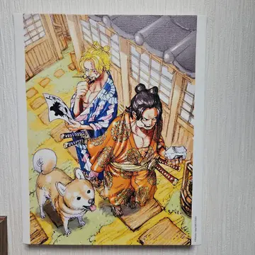 원피스 사보 에이스 캔버스보