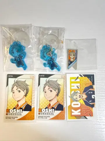 스가와라 코시 굿즈 묶음 판매 세트