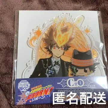 가정교사 히트맨 REBORN! 캐릭터 복권 C상 사와다 츠나요시 & 리본