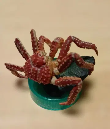 카이요도 털게 피규어