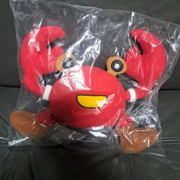 하타다 키사 선수 미개봉 새상품 보트 레이스 사인 포함 굿즈