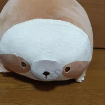 나무늘보 봉제 인형