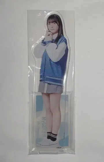 MyGO!!!!! 아티스트 아크릴 스탠드 타카마츠 토모, 히츠미 히나