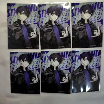 시쿠포니 이루마 브로마이드 아메카지 낱개 판매