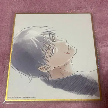 주술회전전 후시구로 토우지 미니 색지 회옥옥절