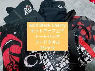 [ 새상품급 ] Acid Black Cherry 셋업 기타 세트