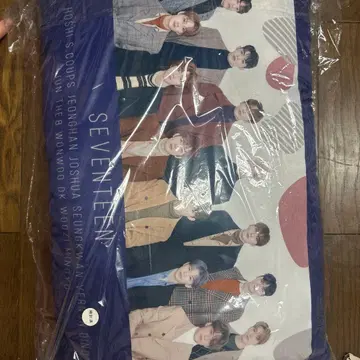 SEVENTEEN 제일복권 A상 쿠션 LAST상 클리어 파일 캔 배지 씰