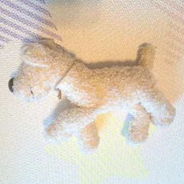 컨트리 하트 스토리 크림색 강아지 봉제 인형 화이트