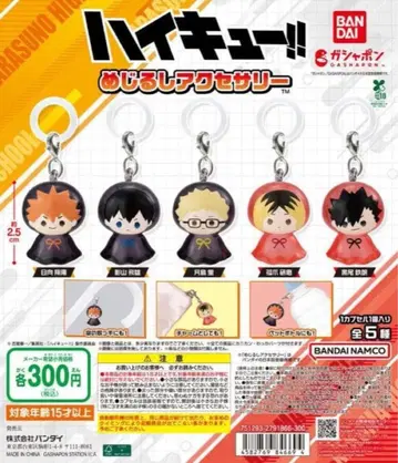 하이큐!! 메지루시 액세서리 전 5종 세트