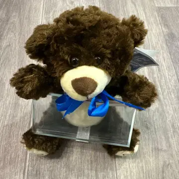 캘리포니아 곰 봉제 인형