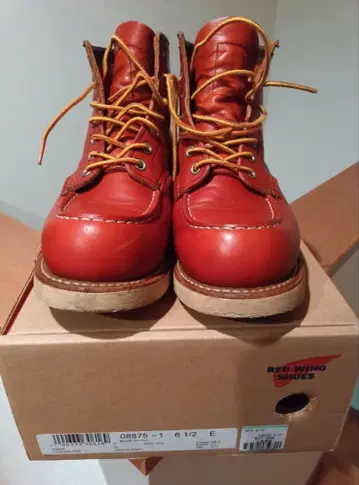 레드윙 8875 US 6 하프 E