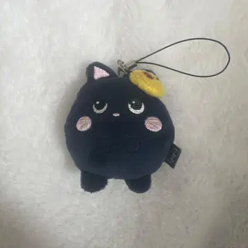 riize 원빈 토냥이 키링