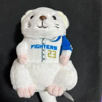 후시미 토라타케 오코죠 봉제 인형 4등