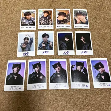 초특급 3호차 료가 미니 사진 세트