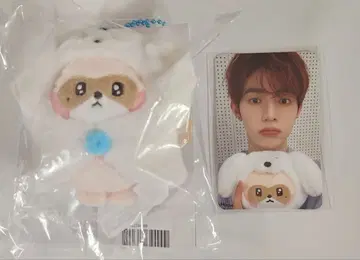 zb1 장하오 zeroni