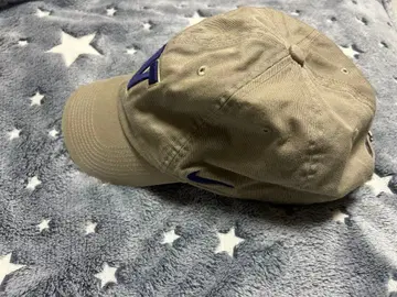 Nike 베이지 W 자수 캡