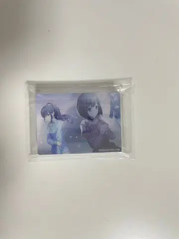 아사히나 마후유 채워지지 않는 페일 컬러 특훈 전 노블 아트