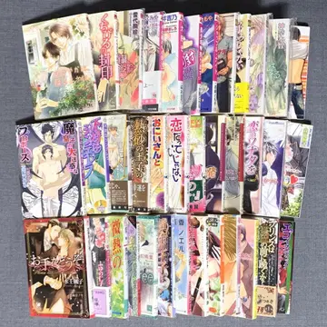 BL 문고 묶음 판매 37권