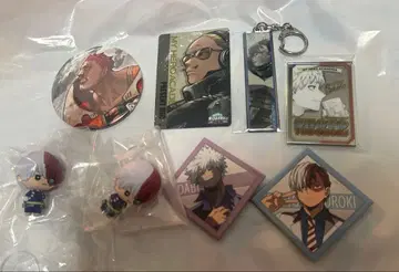 히로아카 토도로키 쇼토 다비 엔데버 세트 판매 원화전