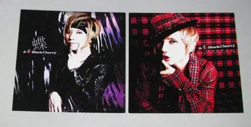 Acid Black Cherry 나비 샹그릴라 아더 자켓 세트