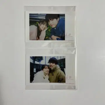 366일 폴라로이드 스티커 카미시라이시 모카 아카소 에이지