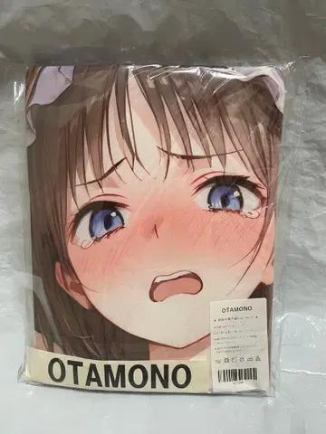 17950 빈 아틀리에 토토리