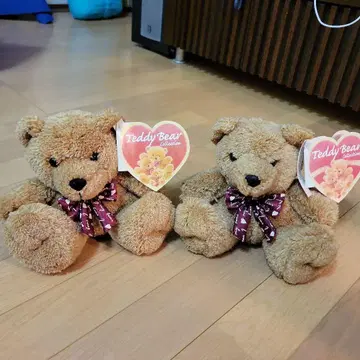 Teddy Bear Collection 소형 봉제 인형