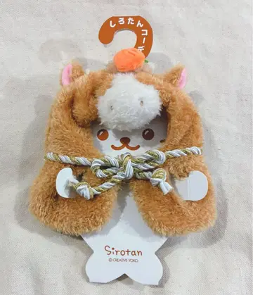 따라와 버리는 시로땅 코디 경자년 말