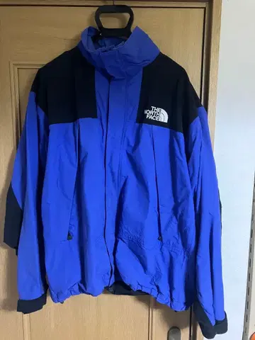 구제 THE NORTH FACE 마운틴 후드티 y2k