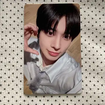 TXT 태현 친구 소개 신규 가입 EP. 2 FC 팬클럽 트레이딩 카드