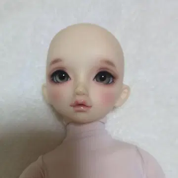 보크스 슈퍼돌피 SDM 노아 스탠다드 모델