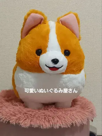 귀여운 얼굴 하나 둘 코기 하나 봉제 인형