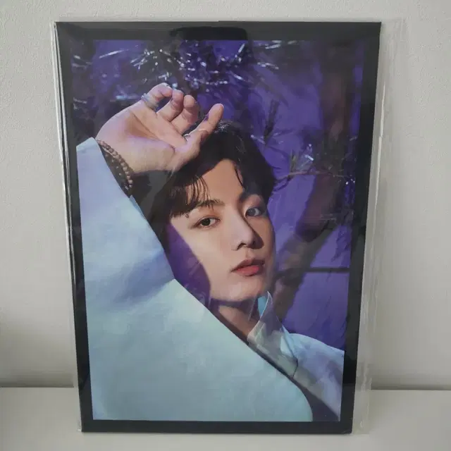 BTS 정국 달마중 프포 프리미엄 포토