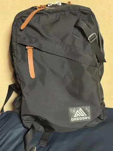 그레고리 백팩 에브리데이