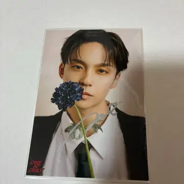 ONE N' ONLY 원엔 온리 레이 사와무라 레이 사인 브로마이드 생탄