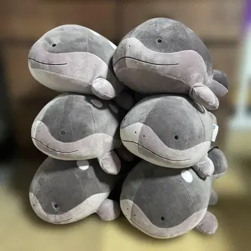 포켓몬 메챠모후굿토 도오 6종