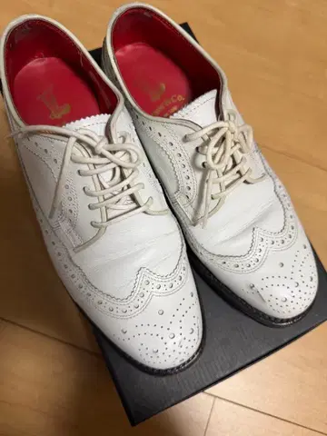 Shoe & Co. 화이트 윙 팁 슈즈