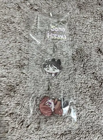 핏토스포룸 오엽 그려낸 이어지는 아크릴 참