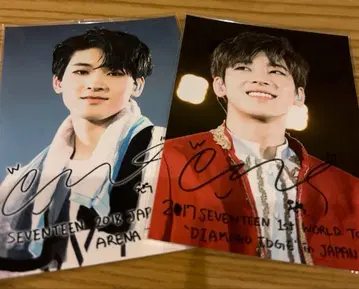 SEVENTEEN 원우 로손 프린트 네프리 L판 세부치