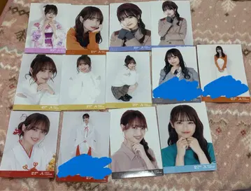 호와스피 ALLY 브로마이드