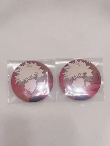 히로아카 바쿠고 카츠키 코디해봐!