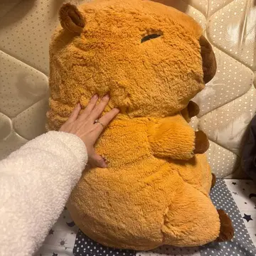 카피바라 초 BIG 55cm