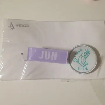 seventeen 준 핀 배지 와펜 네임 캔뱃지 세트