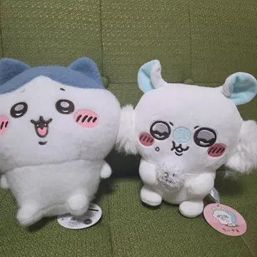 선착순 (치이카와) 하치와레 모몽가 봉제 인형 세트