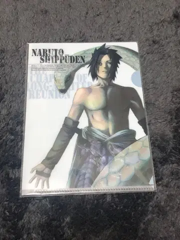 NARUTO 돌풍전 머나먼 재회의 장 3 DVD 특전 미니 클리어 파일