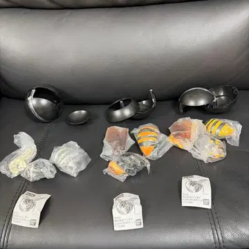 생물대도감 말벌 3종 세트